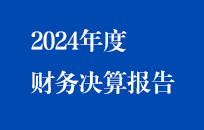 節(jié)能國(guó)禎2024年度財(cái)務(wù)決算報(bào)告（簡(jiǎn)版）